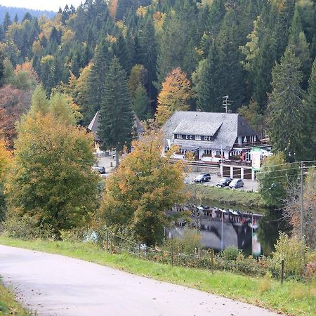 Klosterweiherhof Dachsberg im Schwarzwald Ngoại thất bức ảnh