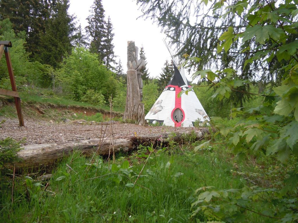 Klosterweiherhof Dachsberg im Schwarzwald Ngoại thất bức ảnh