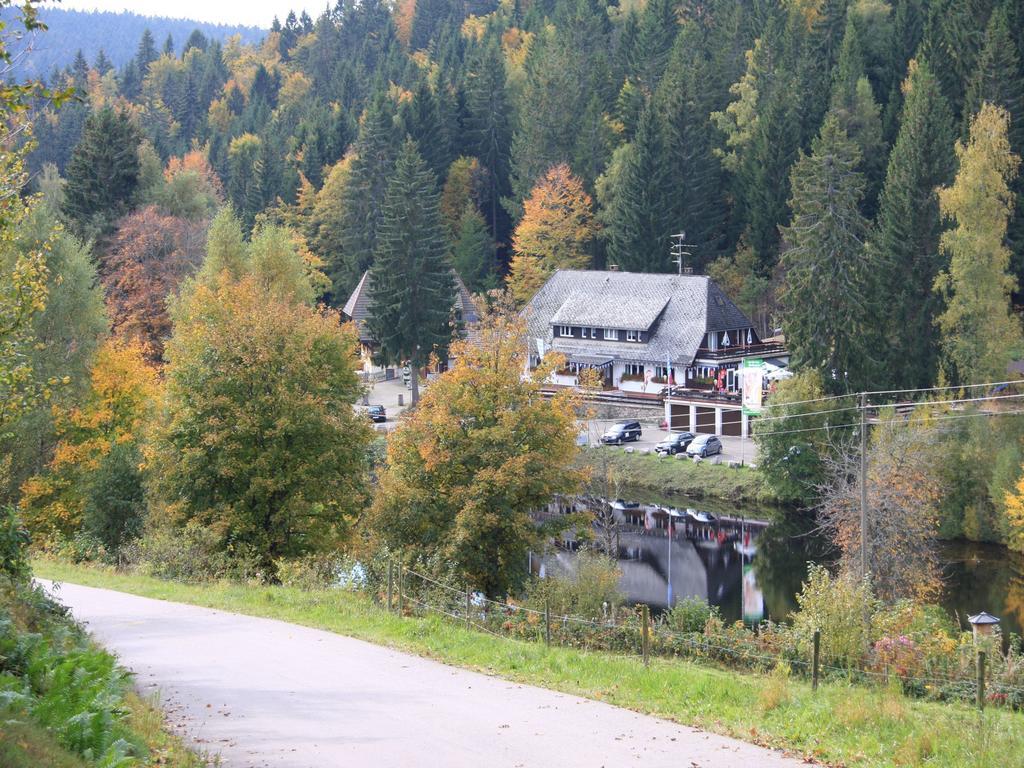 Klosterweiherhof Dachsberg im Schwarzwald Ngoại thất bức ảnh